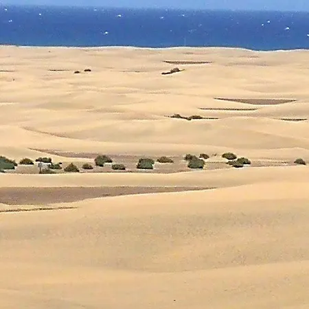 Top1 Green Sea Bungalow Jardin Apartamento Maspalomas (Gran Canaria)